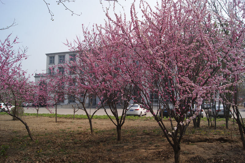 廠區3